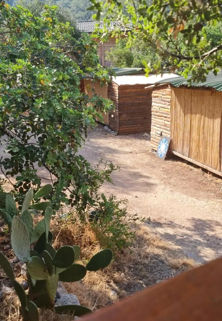Zion Bungalov Bed & Breakfast Fethiye